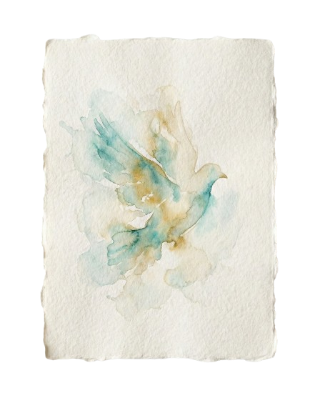 Watercolor dove